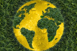 Logística verde: cuidando el planeta más allá del transporte