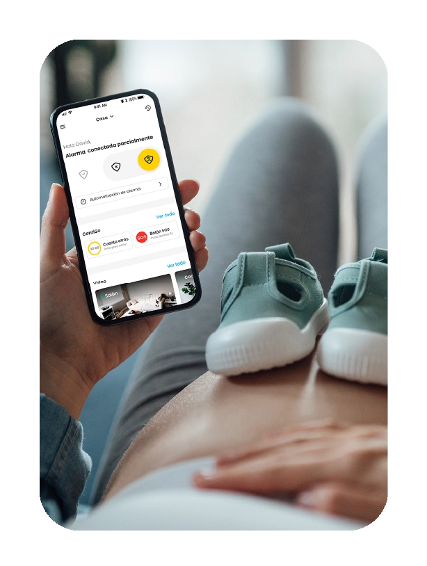 App Prosegur Smart Argentina App Prosegur Smart Argentina