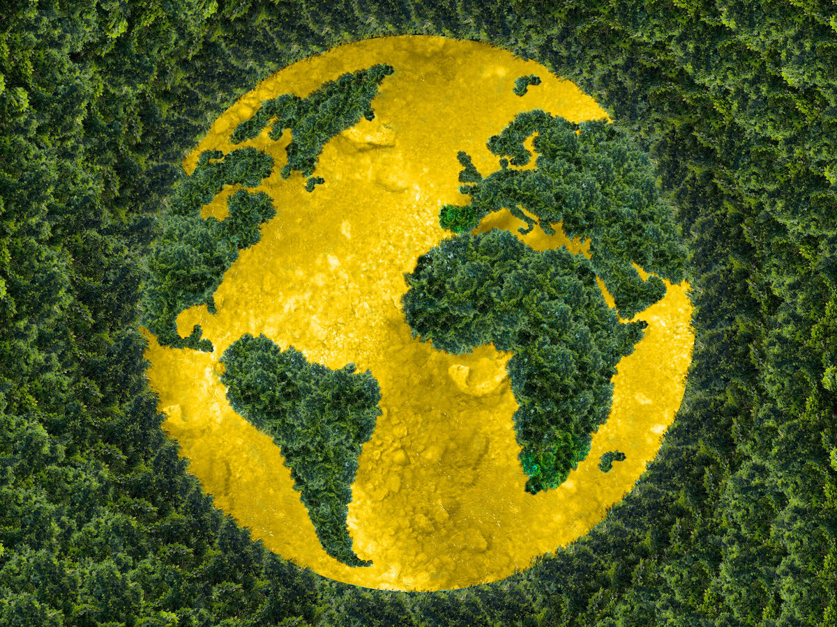 Logística verde: cuidando el planeta más allá del transporte
